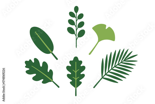 Various green plant leaves and foliage elements isolated on white for natural botanical design