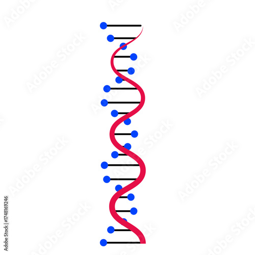 DNA Molecule Strand Graphic