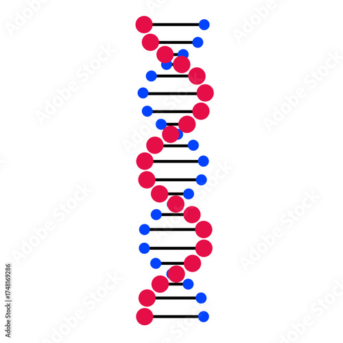 DNA Molecule Strand Graphic