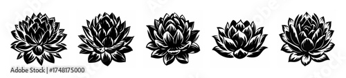 Five close-up abstract digital renderings of lotus flowers showcasing intricate petal details and organic forms.