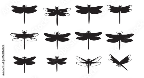 Collection of black dragonfly silhouettes in various poses, isolated on transparent background