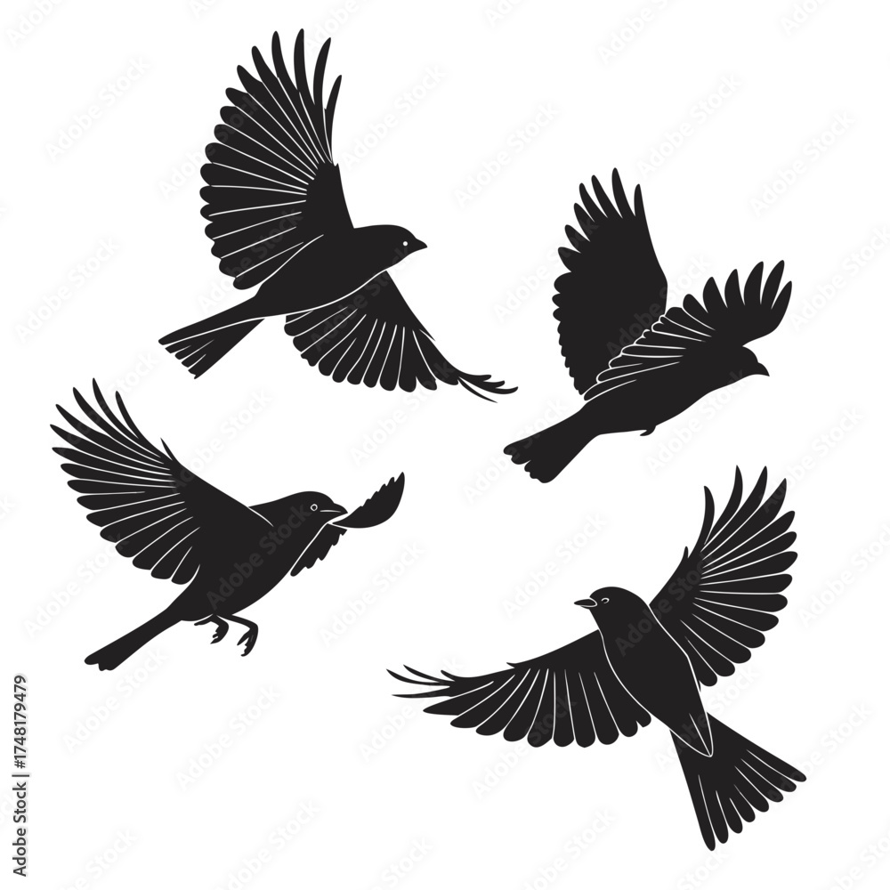 Obraz premium set of silhouettes of birds
