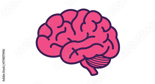 A simple illustration of a human brain with pink and purple coloring