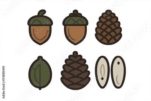 Collection of autumn forest nuts and seeds including acorns and pine cones