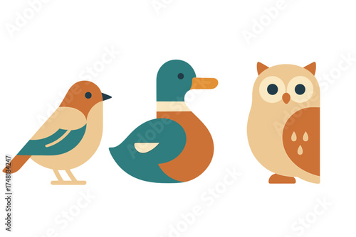 Stylized set of three wild birds: songbird, mallard duck, and nocturnal owl