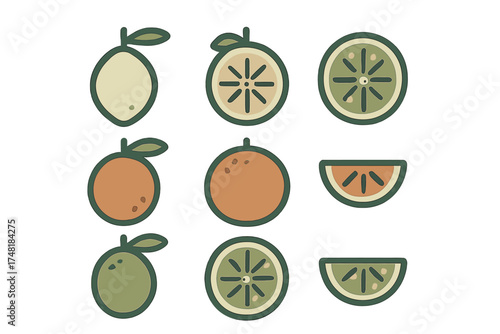 Stylized whole and sliced citrus fruits including lemons, oranges, and limes