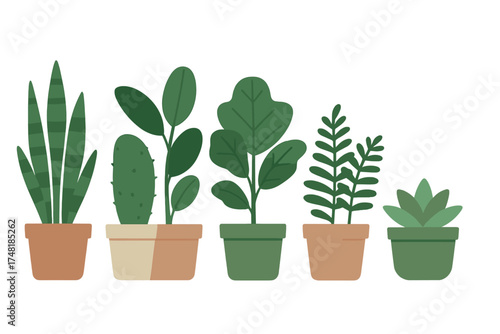 Collection of various potted green indoor houseplants arranged in a row