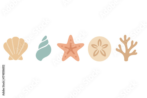Minimalist set of ocean treasures featuring various seashells starfish sand dollar and coral