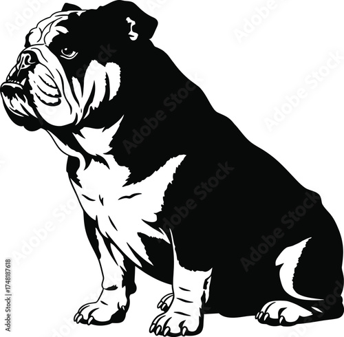 English bulldog silhouette sitting isolated on white background, a sturdy and loyal dog breed known for its distinctive wrinkled face and gentle nature