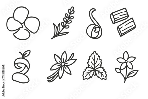 Perfume Ingredients Icons. Line style icons of perfume making ingredients: rose petals, lavender sprig, sandalwood chip, citrus