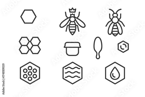 Hive Interior Icons. Line style icons of hive interior: honeycomb cell, queen bee, drone bee, worker bee, brood chamber, wax cap,