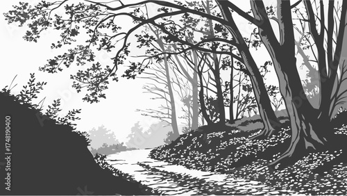 A black and white illustration of a path through a forest with trees shadows and foliage.
