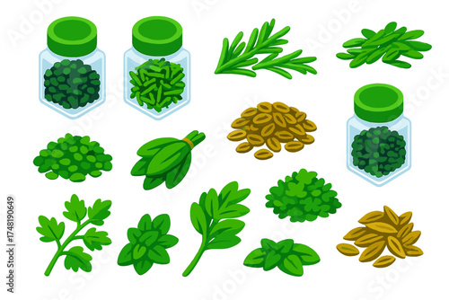 Vibrant Herb Collection. Isometric vector illustration set Dried herbs: oregano flakes jar, thyme leaves container, rosemary dried