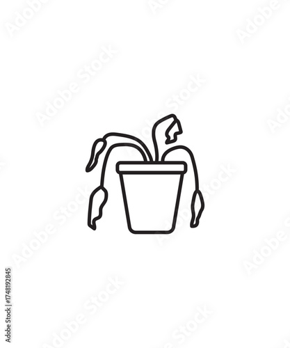 dry plant icon, vector best line icon.