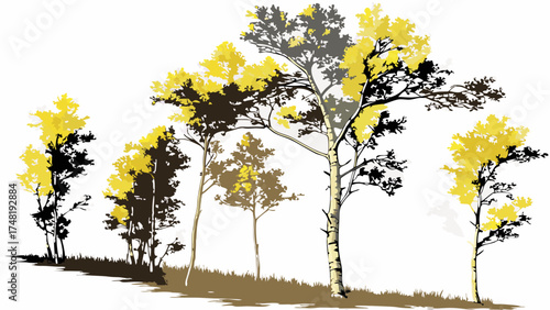 Autumnal Forest Silhouette Illustration.