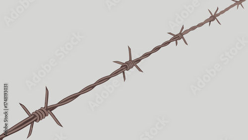 Barbed Wire Close Up on Neutral Background.