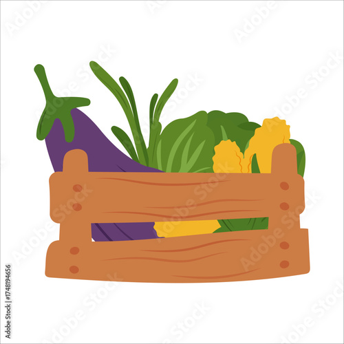 Simple flat vegetables in a crate. Colorful autumn harvest of pumpkin zucchini eggplant cucumber potato onion pepper radish tomato cabbage corn carrot for healthy and vegetarian food design