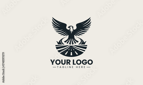 old black vector logo illustration of a powerful eagle with dynamic spread wings creating an authoritative and iconic symbol