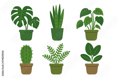 Set of six popular green houseplants in pots including monstera snake plant and cactus