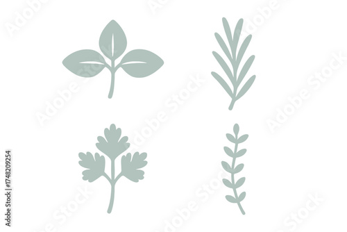 Minimalist set of stylized culinary herbs and spices for cooking and kitchen design