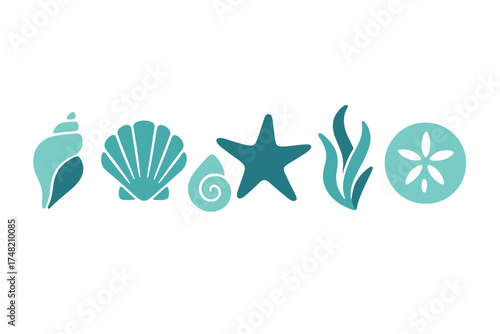 Minimalist collection of seashells, starfish, sand dollar, and seaweed in teal colors