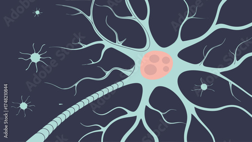 Vector Illustration of a Neuron Cell Neuroscience and Biology Background.