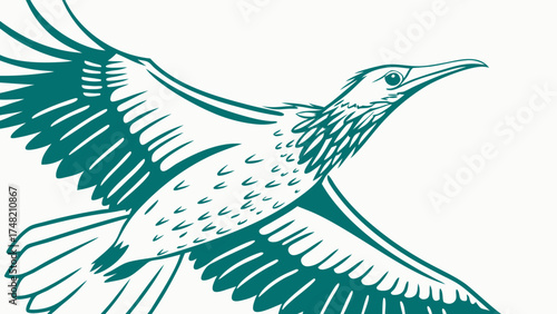 Vector illustration of a soaring bird in flight teal on white background.