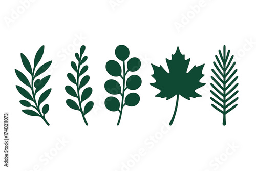 Various dark green leaves and branches forming diverse natural foliage elements
