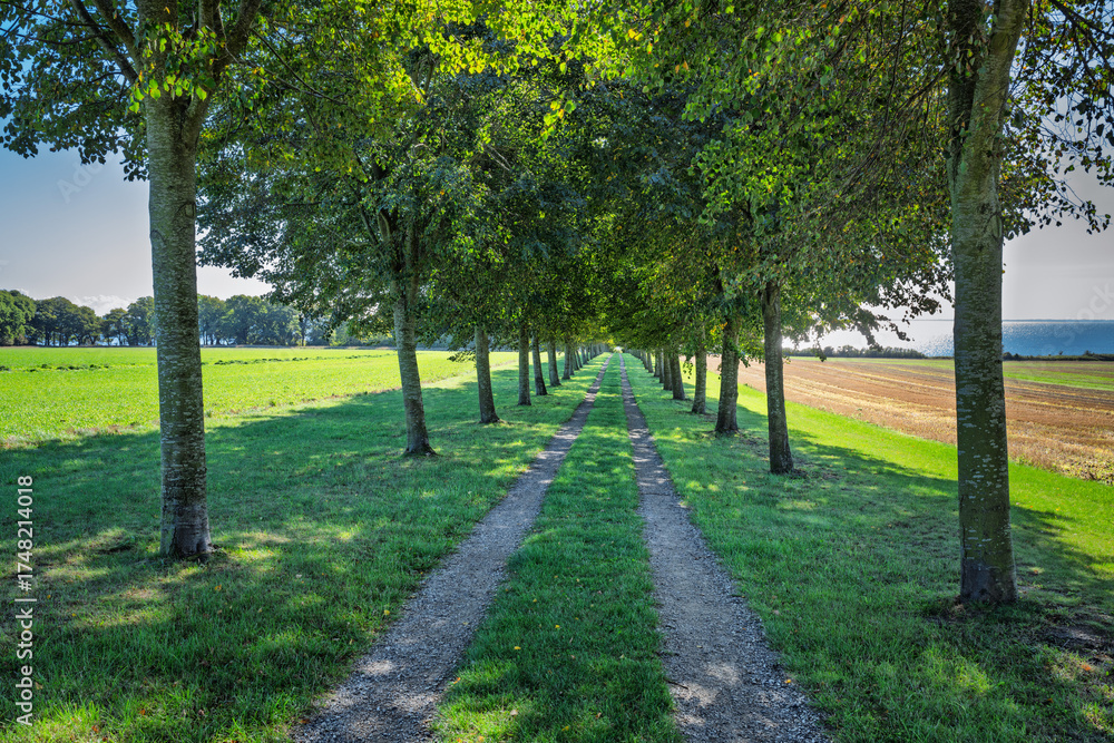 Obraz premium Serene Park Scene With Shade Trees, Open Field, Bench, And Distant Sea Horizon Under Bright Daylight, Palsgaard, Denmark