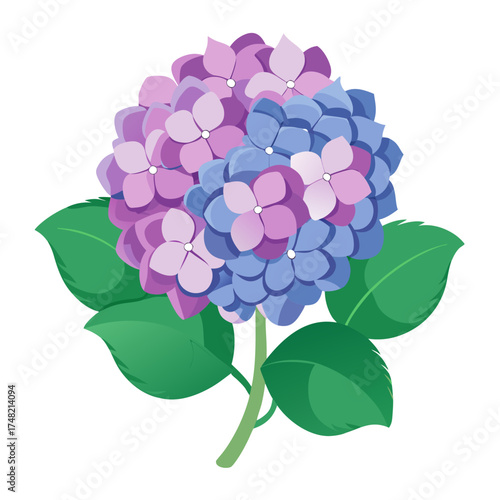 bouquet of pink roses