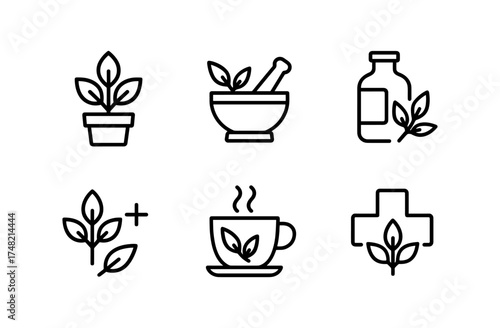 Minimalist herbal medicine icons featuring plant and tea elements