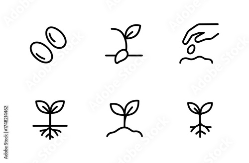 Linear icons depicting seed planting and growth stages