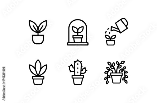 Minimalist plant icons: line art of succulents and houseplants