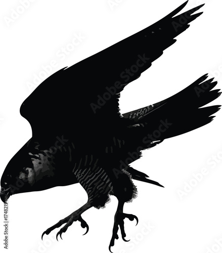 Silhouette of a falcon in flight, its wings spread wide, isolated on white background the birds sharp talons and piercing gaze are clearly visible
