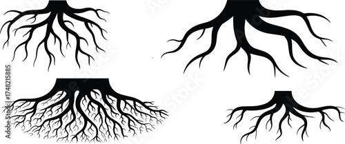 Black and white vector illustration of four detailed tree root systems, organic botanical design, natural growth concept, eco nature artwork