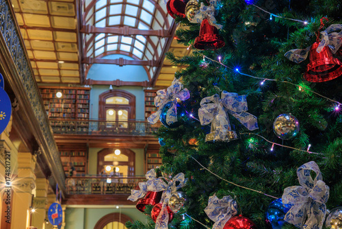 クリスマスツリーのある風景