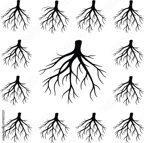 Detailed black and white illustration of a tree with strong roots and branches, symbolizing nature growth connection balance ecosystem strength life