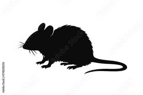 Detailed Silhouette of a Mouse A Vector Graphic for Nature, Science, and Wildlife Projects