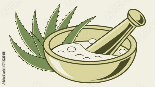 Aloe Vera Leaves with Mortar and Pestle.