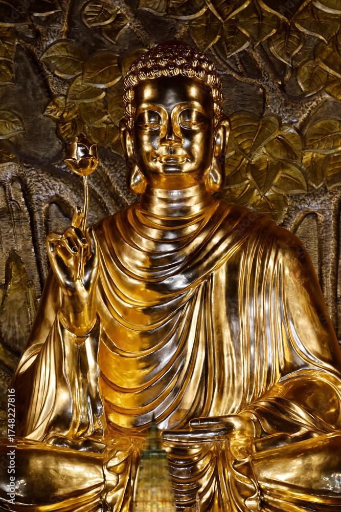 Obraz premium Truc Lam Phoung Nam Zen monastery. Golden Buddha sitting in the lotus position. Siddhartha Gautama. Buddha holding a lotus flower symbolizes purity, spiritual awakening. Vietnam.