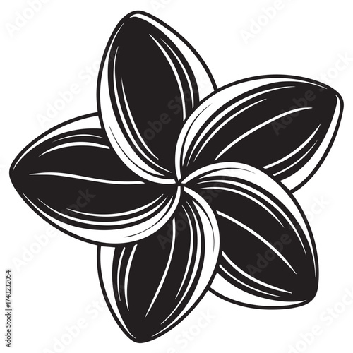 black and white flower vector