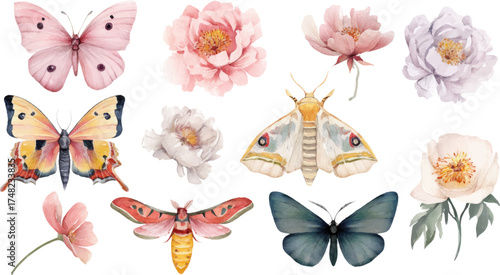 
Watercolor butterfly and moth clip art set, spring flowers, white background