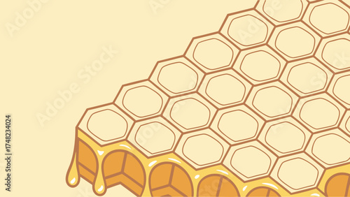 Honeycomb Vector Illustration.