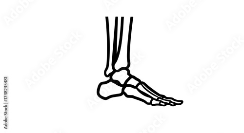 Skeleton leg part black white icon