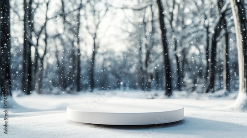 Snowy forest winter scene; product display platform; background blur; winter product showcase