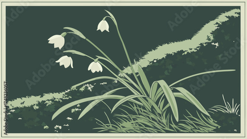 Illustration of white bell flowers and foliage on a dark background.