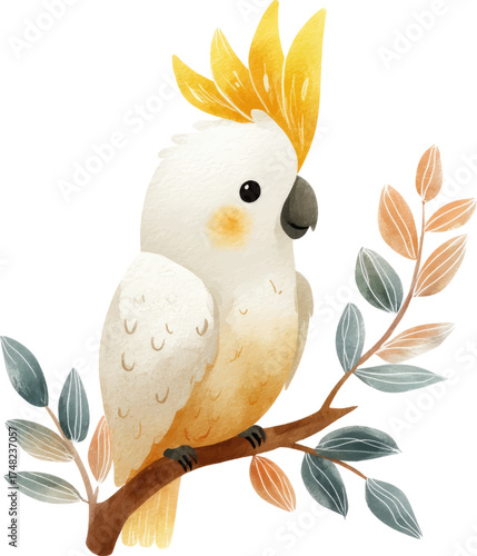 Adobe Illustrator Artwork