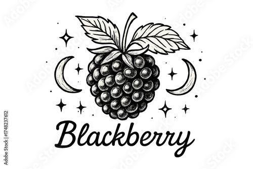 Blackberry and Moons. Hand-drawn blackberry with moons, sparkles, and leaves, center word “Blackberry” in black and white isolated