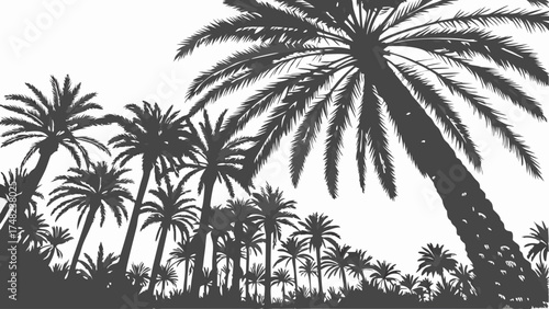 Palm Tree Silhouette Graphic on White Background.
