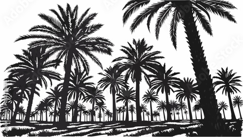 Palm Tree Silhouette on White Background.